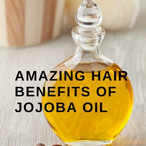 Amazing Hair Benefits of Jojoba Oil